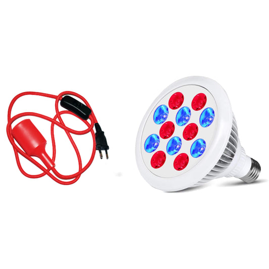 FOKUS 415 Hautgesundheit Lampe und rotes Kabel