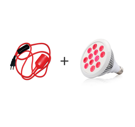 FOKUS 670 Augengesundheit Lampe und rotes Kabel